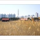 인천대공원역 이미지