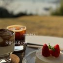 로망스Ⅱ 이미지