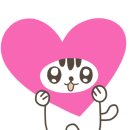 바름플러스 이미지