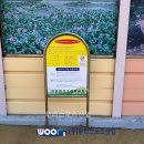 화전초등학교 이미지