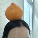 향미농장 이미지