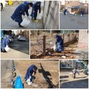 둔전8리 이미지