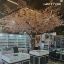 밝은안경원 이미지