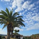 선학골프 이미지