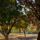 하얀여울민박 이미지