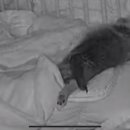 경기도 수원시 팔달구 아주로13번길 이미지