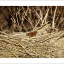 동화마을수목원 이미지