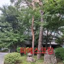 동부6단지 | 용인시 수지구 신봉동 신봉마을 6단지 동부센트리빌아파트 욕실 실리콘작업 후기
