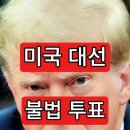 미국 대선 불법투표 한국인 350명 이미지