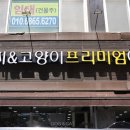 야옹아 멍멍해봐 네이버블로그
