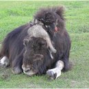 이원영농장 이미지