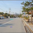 월림리[동] Daum카페