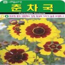 A0737 이미지