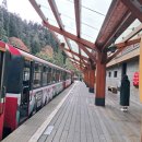 세븐일레븐 부산신항휴게소점 | [#05] 타이베이&amp;타이중 10박 11일 간단 일정 및 경비 후기 #3(feat. 12월) ~ 아리산, 장화, 루강 등