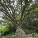 마티고개 화장실 이미지