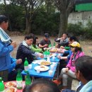 이황초교 이미지