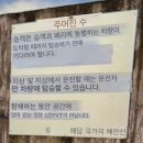 회관정 | 60대 아빠, 30대 아들의 페로제도 여행 21밤 후기: 열여섯 번째 날(2)