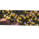 유앤미공인중개사사무소 이미지