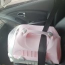 멍이살롱 이미지