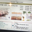 스파인더파리 이미지