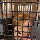 삼산평생동물병원 이미지