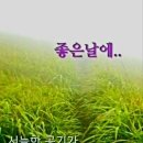 왕서방 - 칠곡군 공단로 198-19 | 왕서방