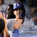 토미코리아 이미지