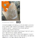 선기로1-3 | 선기능이 뛰어나고 회복, 보호력, 톤업효과 뛰어난 [DBH]더메스테릭스 EGF FGF DNA UV 쉴드 선크림 (SPF...