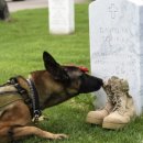 다가온 동물병원 이미지