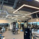 바디업피티 이미지