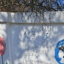 나태주풀꽃문학관 Daum카페