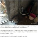 거창군사회복지협의회, ‘신한금융그룹 위기가정 재기지원사업’ 실시_20240831_한국공보뉴스 이미지