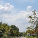 하얀구름 이미지