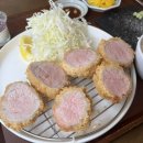 디귿카츠 이미지