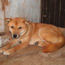 초희의 집 이미지