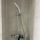 피티데이 이미지