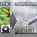 국제발전기