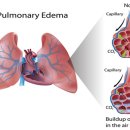 다온동물병원 이미지