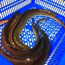 제일회센타 이미지