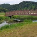 생태습지 이미지