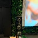 제주뮤직바튠