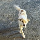 고복마트 | 세종시 포레스트바베큐 저녁식사