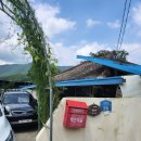 복실이네 애견 이미지