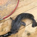 동검낚시터 이미지