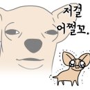 대가면옥 이미지