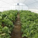 나비초등학교 이미지