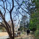 상록공원 이미지