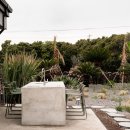 달리야드 이미지