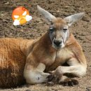 벳츠라이프 이미지