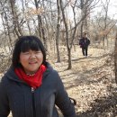 오솔길 농장 이미지